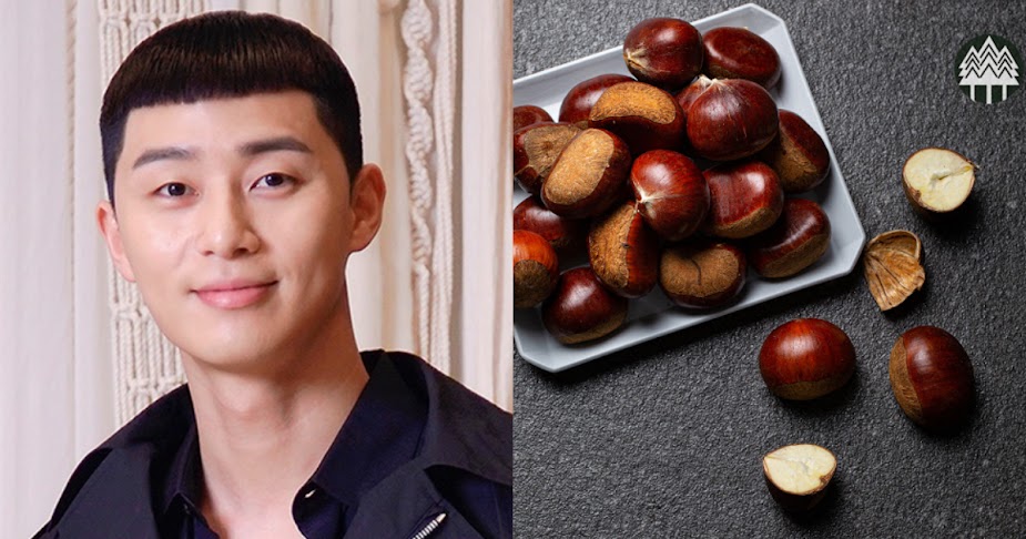 park seo joon chestnut hair