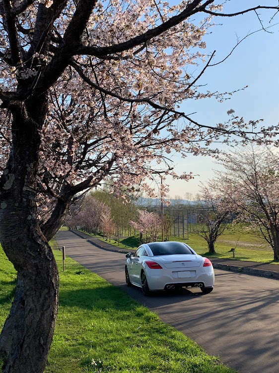 RCZのRCZ・GW・ポリッシャー・スポイラーに関するカスタム事例の投稿画像2枚目