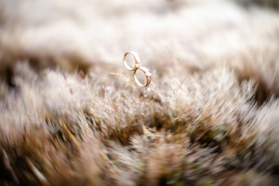 Fotógrafo de casamento Sang Tran (sangtran). Foto de 4 de dezembro 2018