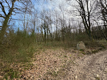 terrain à Saint-Symphorien-de-Marmagne (71)