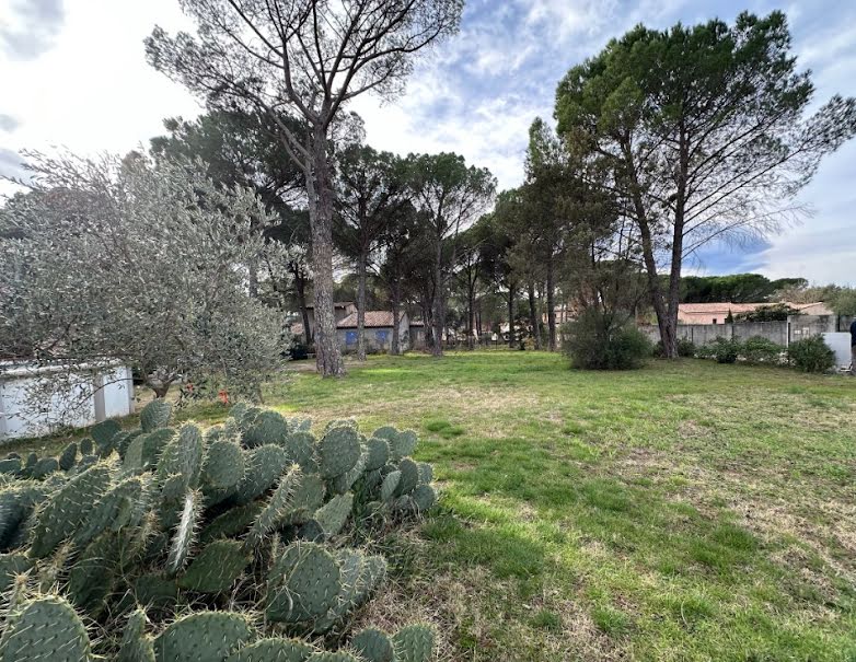 Vente terrain  674 m² à Vidauban (83550), 132 000 €