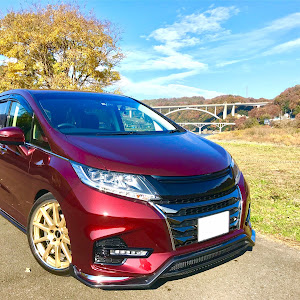 オデッセイ RC1