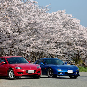 RX-8 SE3P