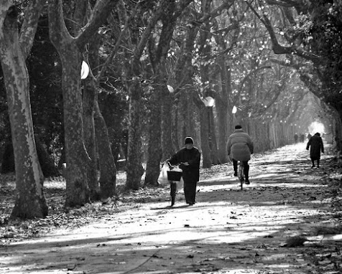 Anziani a passeggio di iLLu