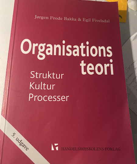Organisations teori