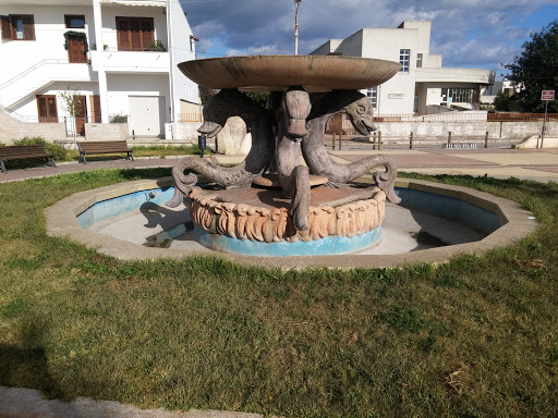 Cursi Park Fountain