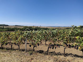 terrain à Gaillac (81)