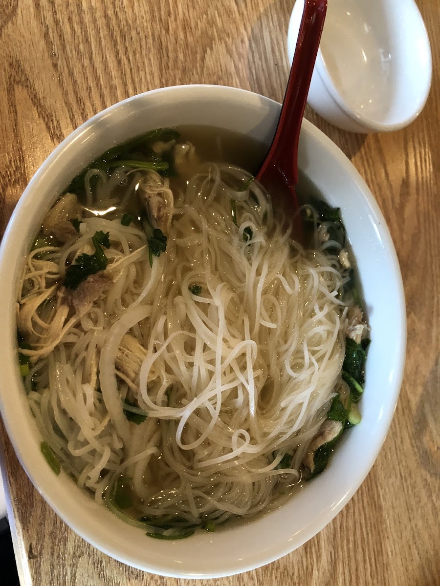 Pho chicken noodle bowl with extra side of noodles ! So much food ! 2 of us spilt it !