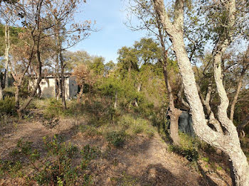 terrain à Ceret (66)