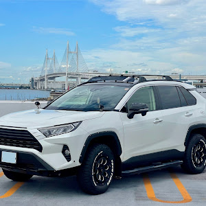 RAV4 MXAA54