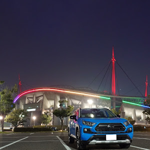 RAV4 MXAA54