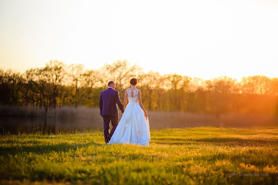 Wedding photographer Darina Limarenko (andriyanova). Photo of 14 June 2014