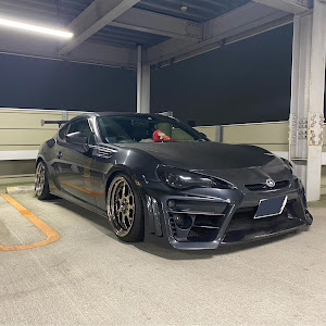 86 ZN6