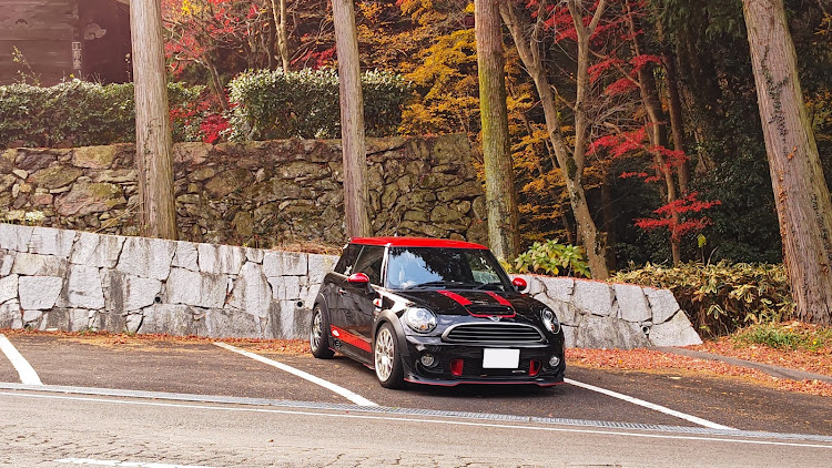 MINI ジョンクーパーワークスのバッテリーチェックランプ点灯・最後の紅葉？に関するカスタム事例の投稿画像3枚目
