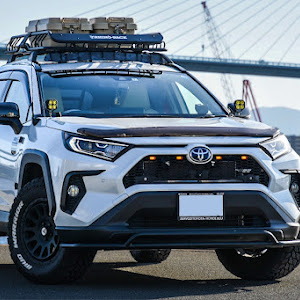 RAV4 AXAH54