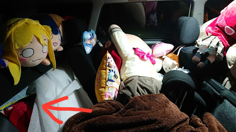 カローラフィールダーの車中泊・寝そべりぬいぐるみ・人権のない車・ミニカダンガンZZに関するカスタム事例の投稿画像3枚目