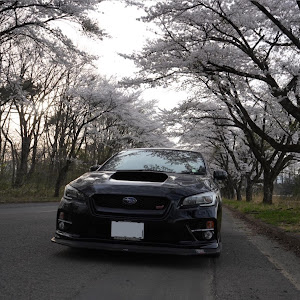 WRX STI