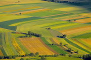 The lack of clarity on who could lose their land‚ and what kind of land would be targeted‚ has created widespread panic. File photo.