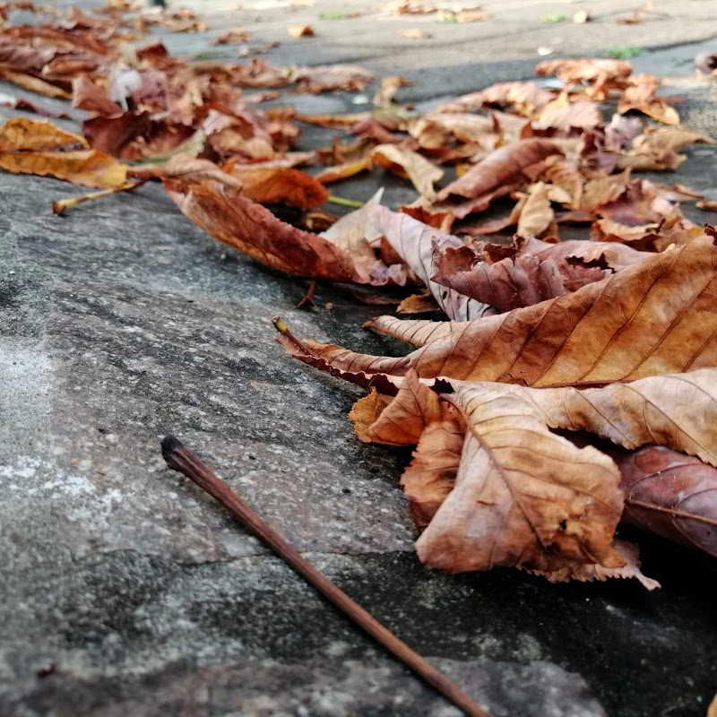 "Questa domenica in settembre non sarebbe pesata cosi" di __punto__a__capo__