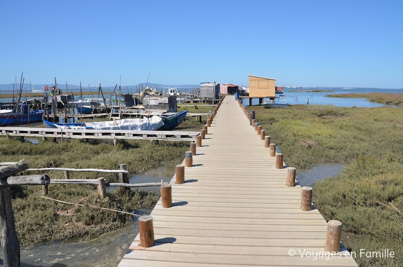 Carrasqueira, Comporta