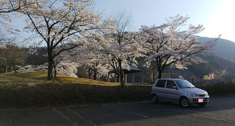 の投稿画像22枚目