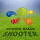 Sports Balls Shooter Game Install on Windows
