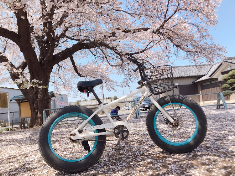 ゆぅたさんが投稿した桜とコラボに関するカスタム事例の投稿画像2枚目