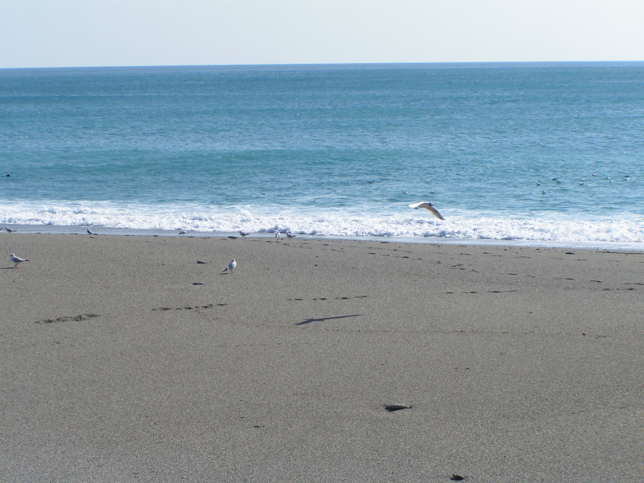 Spiagge di rosario.vicino