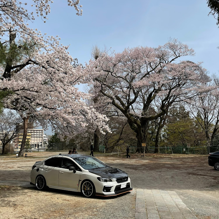 WRX S4の桜と愛車に関するカスタム事例の投稿画像11枚目