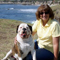 bulldogmom avatar