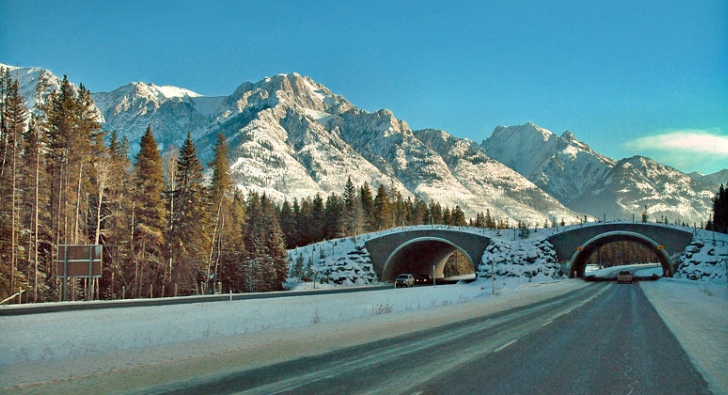 trans-canada-highway-is-the-greenest-in-the-world-1000-charging-points-by-2013-53014_1.jpg