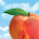 Peach State FCU Mobile Banking icon