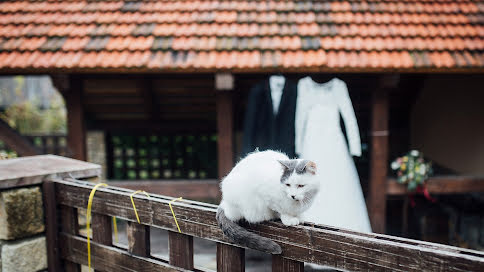 Pulmafotograaf Nikolas Zalevski (nikolaszalevski). Foto tehtud 7 september 2020