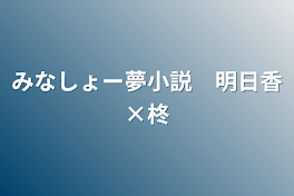 みなしょー夢小説　明日香×柊