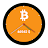 Bitcoin Price Watch Face icon