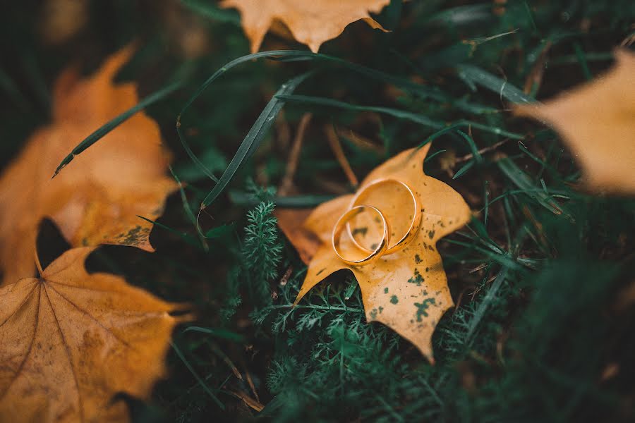 Fotografo di matrimoni Aleksandr Yurchik (alvik). Foto del 20 novembre 2015