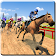 cheval courses championnat  icon