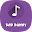 Bad Bunny Musica Download on Windows