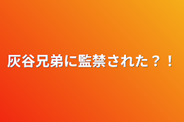 灰谷兄弟に監禁された？！