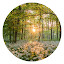 Forest Popular Scenery HD New Tabs Theme