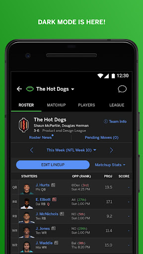 Screenshot ESPN Fantasy Sports