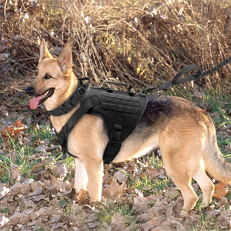 Tactisch K9 borstharnas voor honden Vest type Halsband Robuust en verstelbaar voor training en werk Veiligheid en controle.