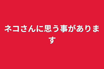 「ネコさんに思う事があります」のメインビジュアル