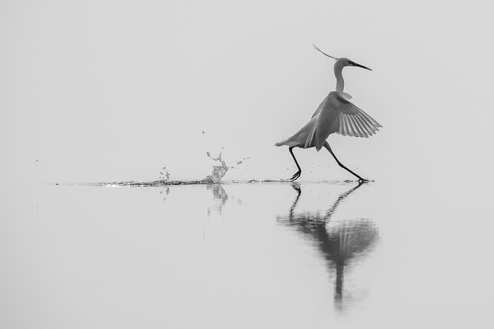 Dancing on the water di Mauro Rossi