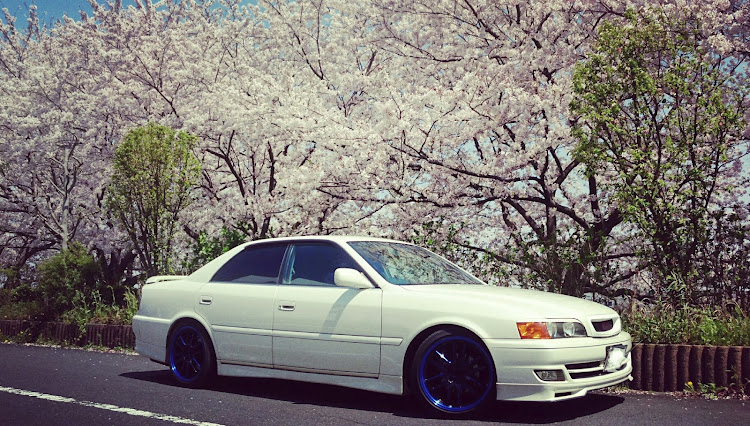 チェイサーの桜並木と愛車に関するカスタム事例の投稿画像1枚目