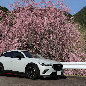 CX-3 DK5FW