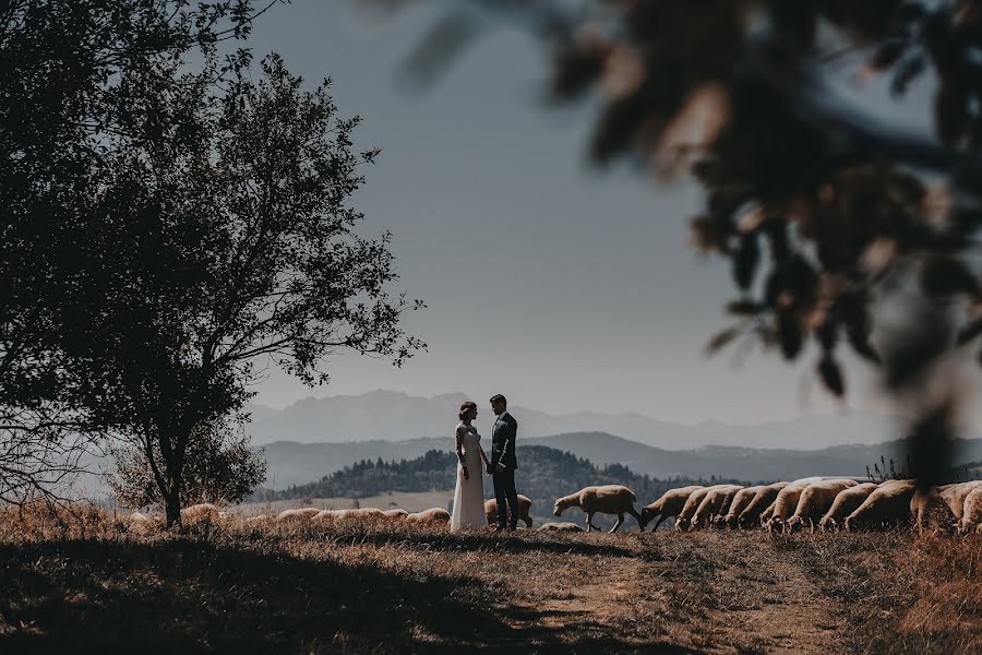 Fotógrafo de casamento Anna I Marcin Ożóg (weselnipaparazzi). Foto de 1 de setembro 2017