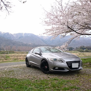 CR-Z