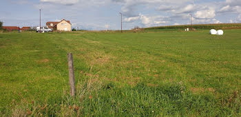 terrain à Malange (39)