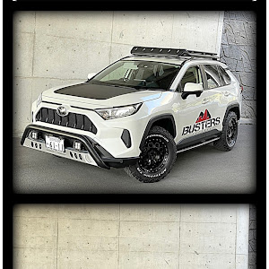 RAV4 AXAH54